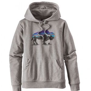 Patagonia Hoodie